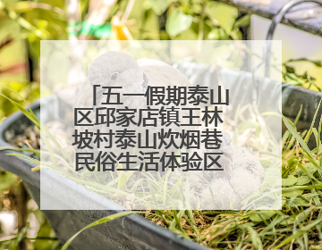 五一假期泰山区邱家店镇王林坡村泰山炊烟巷民俗生活体验区人气爆棚