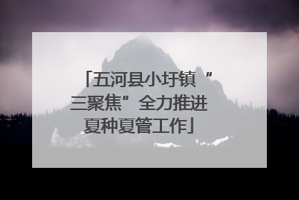 五河县小圩镇“三聚焦”全力推进夏种夏管工作
