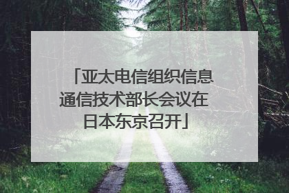 亚太电信组织信息通信技术部长会议在日本东京召开