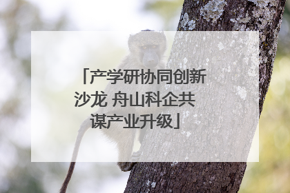 产学研协同创新沙龙 舟山科企共谋产业升级