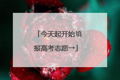 今天起开始填报高考志愿→