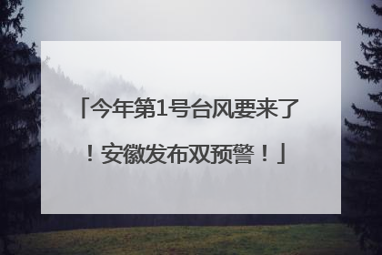 今年第1号台风要来了!安徽发布双预警!