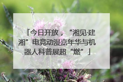 今日开放，“湘见·建湘”电竞动漫嘉年华与机器人科普展超“燃”