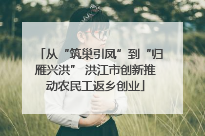从“筑巢引凤”到“归雁兴洪” 洪江市创新推动农民工返乡创业