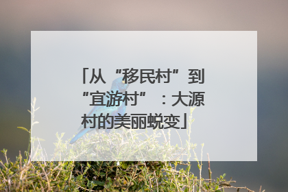 从“移民村”到“宜游村”：大源村的美丽蜕变
