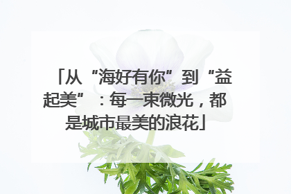 从“海好有你”到“益起美”：每一束微光，都是城市最美的浪花