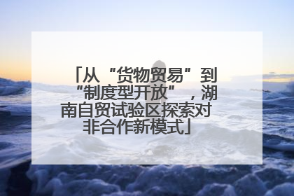 从“货物贸易”到“制度型开放”，湖南自贸试验区探索对非合作新模式