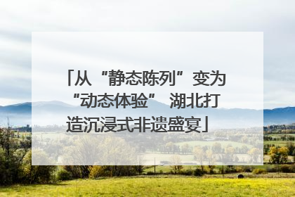 从“静态陈列”变为“动态体验” 湖北打造沉浸式非遗盛宴