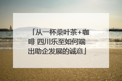 从一杯桑叶茶+咖啡 四川乐至如何端出助企发展的诚意