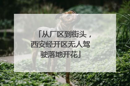 从厂区到街头，西安经开区无人驾驶落地开花