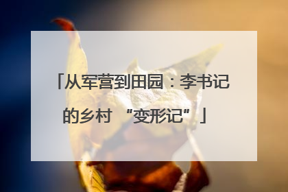 从军营到田园：李书记的乡村 “变形记”