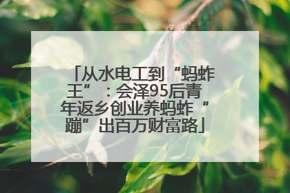 从水电工到“蚂蚱王”：会泽95后青年返乡创业养蚂蚱“蹦”出百万财富路