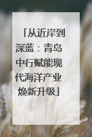 从近岸到深蓝：青岛中行赋能现代海洋产业焕新升级