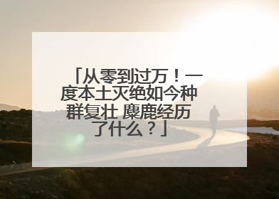 从零到过万！一度本土灭绝如今种群复壮 麋鹿经历了什么？