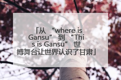 从 “where is Gansu” 到 “This is Gansu” 世博舞台让世界认识了甘肃
