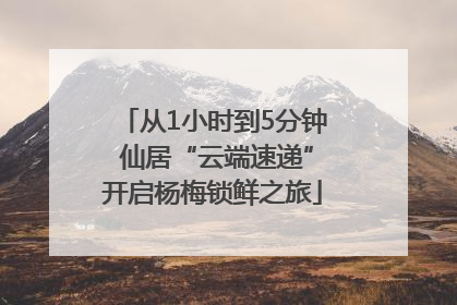 从1小时到5分钟 仙居“云端速递”开启杨梅锁鲜之旅