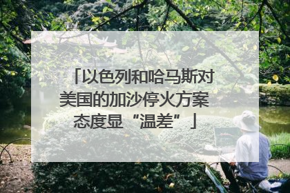 以色列和哈马斯对美国的加沙停火方案态度显“温差”