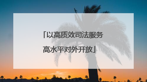 以高质效司法服务高水平对外开放