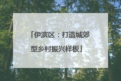 伊滨区：打造城郊型乡村振兴样板