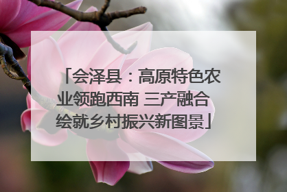 会泽县：高原特色农业领跑西南 三产融合绘就乡村振兴新图景