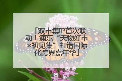 双市集IP首次联动！浦东“天物好市×初见集”打造国际化跨界嘉年华