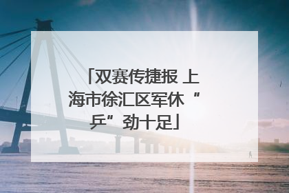 双赛传捷报 上海市徐汇区军休“乒”劲十足