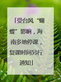 受台风“蝴蝶”影响，海南多地停课，复课时间另行通知