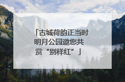 古城荷韵正当时 明月公园邀您共赏“别样红”
