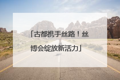 古都携手丝路！丝博会绽放新活力