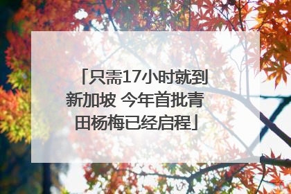 只需17小时就到新加坡 今年首批青田杨梅已经启程