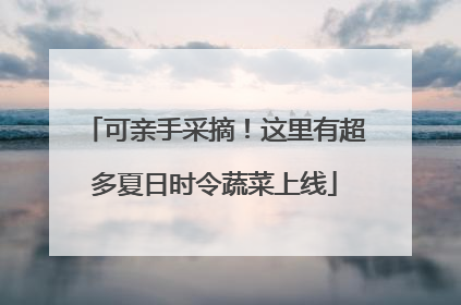 可亲手采摘！这里有超多夏日时令蔬菜上线