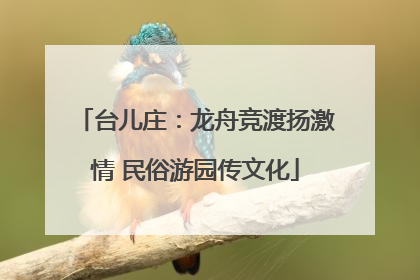 台儿庄：龙舟竞渡扬激情 民俗游园传文化