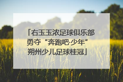 右玉玉浓足球俱乐部勇夺“奔跑吧·少年”朔州少儿足球桂冠