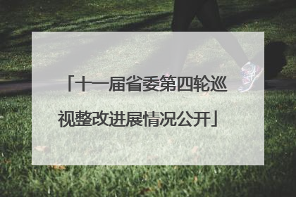 十一届省委第四轮巡视整改进展情况公开