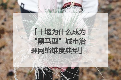 十堰为什么成为“黑马型”城市治理网络维度典型