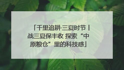 千里追耕·三夏时节丨战三夏保丰收 探索“中原粮仓”里的科技感