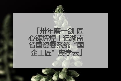卅年磨一剑 匠心铸辉煌丨记湖南省国资委系统“国企工匠”虞孝云