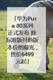 华为Pura 80系列正式发布 除标准版其他版本价格曝光，售价6499元起