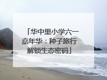 华中里小学六一嘉年华：种子旅行解锁生态密码