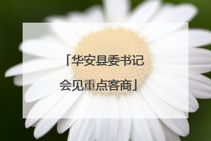 华安县委书记会见重点客商