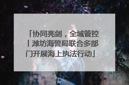 协同亮剑，全域管控丨潍坊海警局联合多部门开展海上执法行动