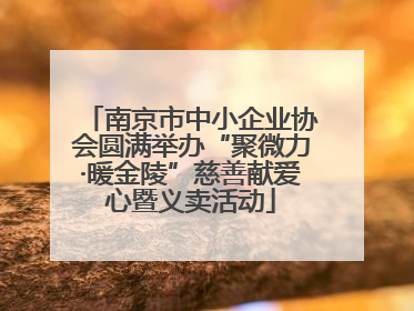 南京市中小企业协会圆满举办“聚微力·暖金陵”慈善献爱心暨义卖活动