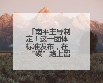 南平主导制定！这一团体标准发布，在“碳”路上留下“竹”迹