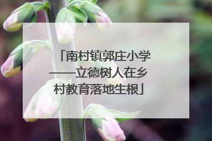 南村镇郭庄小学——立德树人在乡村教育落地生根