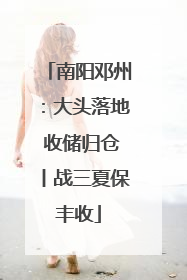 南阳邓州：大头落地 收储归仓丨战三夏保丰收