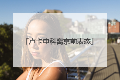 卢卡申科离京前表态