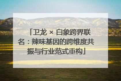 卫龙 × 白象跨界联名：辣味基因的跨维度共振与行业范式重构