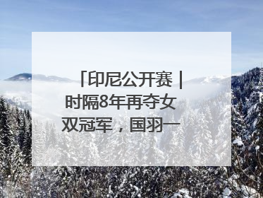 印尼公开赛｜时隔8年再夺女双冠军，国羽一金一银收官
