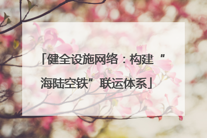 健全设施网络：构建“海陆空铁”联运体系