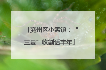 兖州区小孟镇：“三夏”收割话丰年